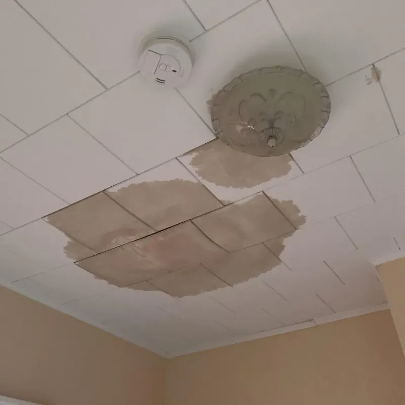 Ceiling Water Damage Repair in Saxonburg, PA
