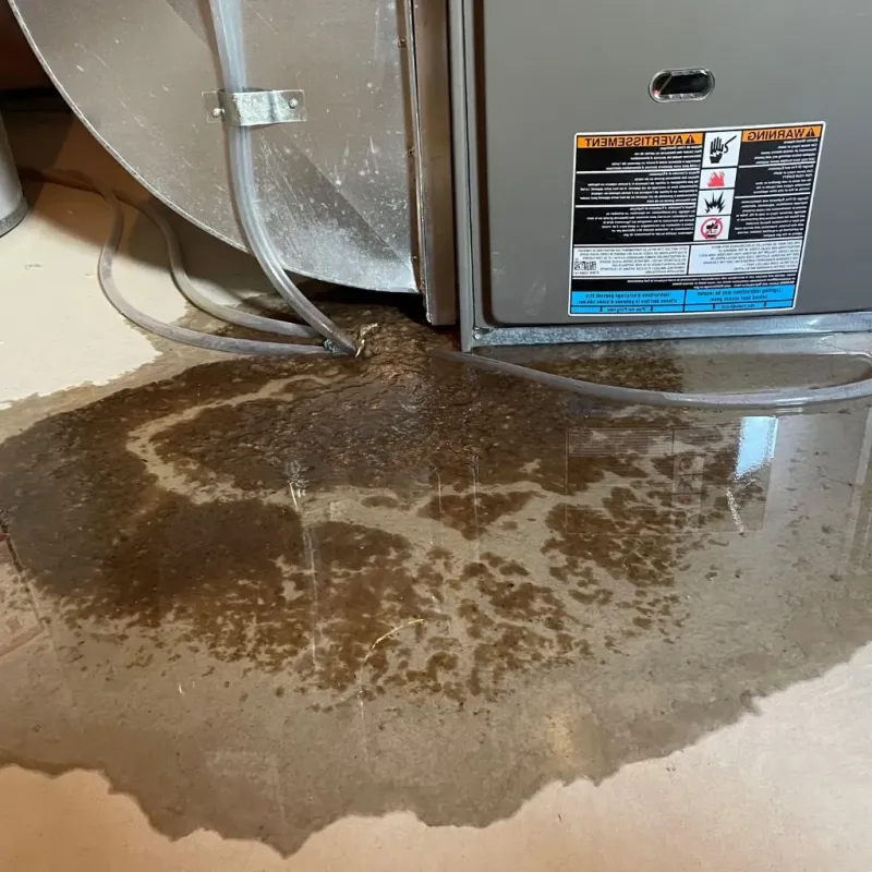 Pipe Burst and Leak Restoration in Saxonburg, PA