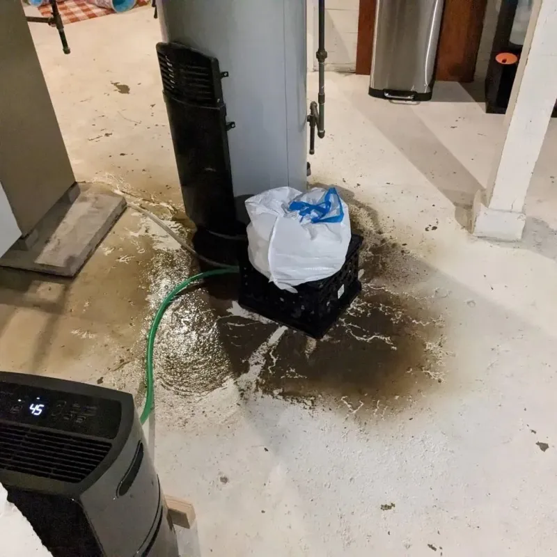 Sewage Backup Cleanup Service in Saxonburg, PA